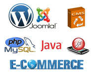 Search Engine Optimization Company